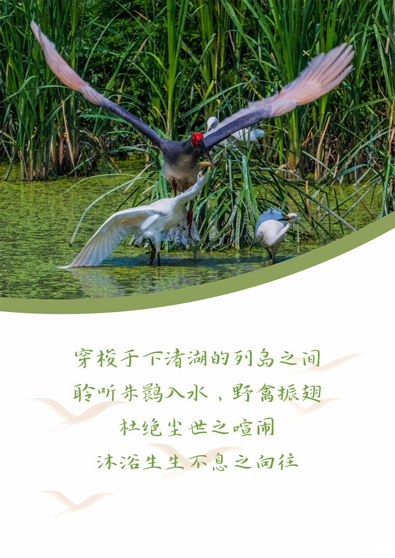 心心念廿 相伴南宫NG28 | 与德清相约 贺廿载诞辰